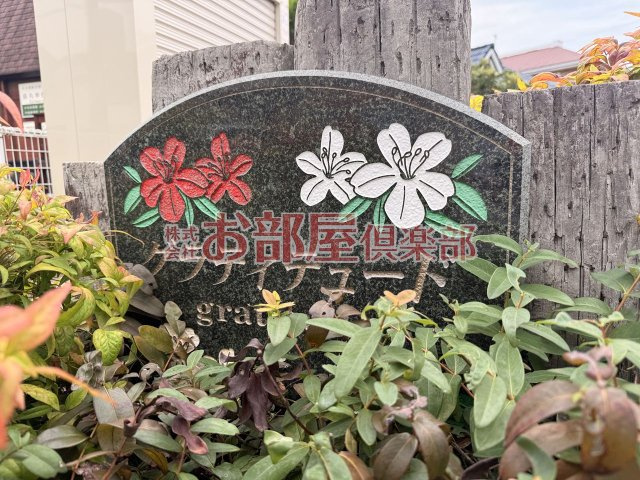 グラティテュードのその他