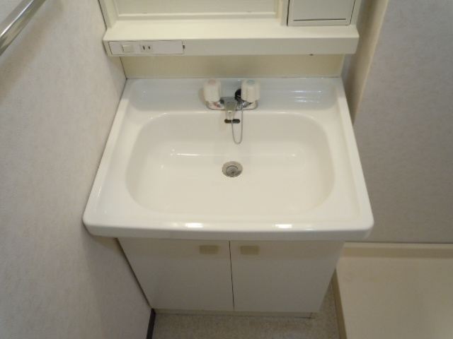 ボンヌ愛の洗面所