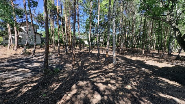 御代田エリア  御影用水温水路付近  木漏れ日に癒される売土地