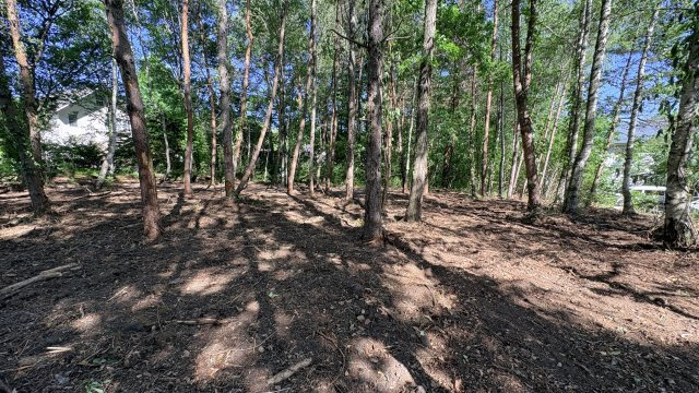 御代田エリア  御影用水温水路付近  木漏れ日に癒される売土地の周辺