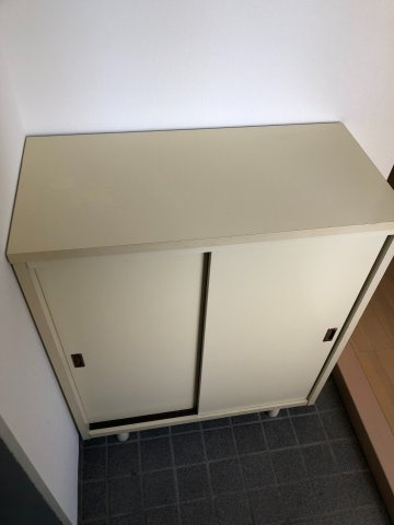 福岡市南区野間１丁目の賃貸マンションのエントランス