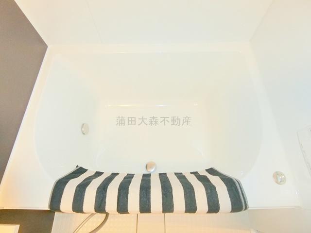 スタイリオ蒲田WESTの浴室