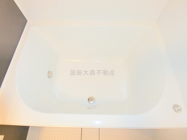 スタイリオ蒲田WESTの浴室