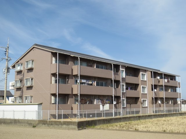 阿南市那賀川町中島の賃貸マンションの外観