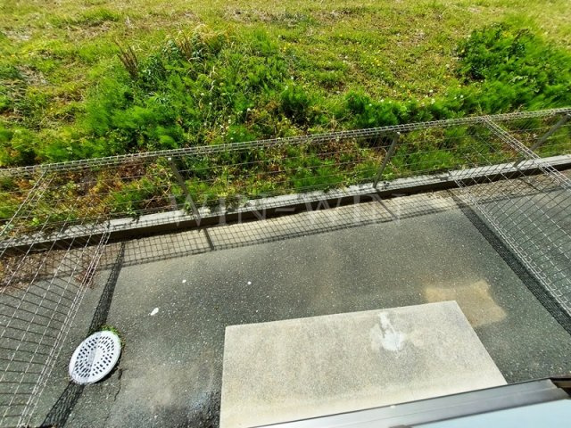 ヒルズTNのバルコニー|イメージ（同建物内別部屋の写真です）