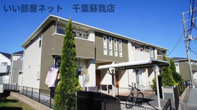 ヴィーナス　ホープⅡ