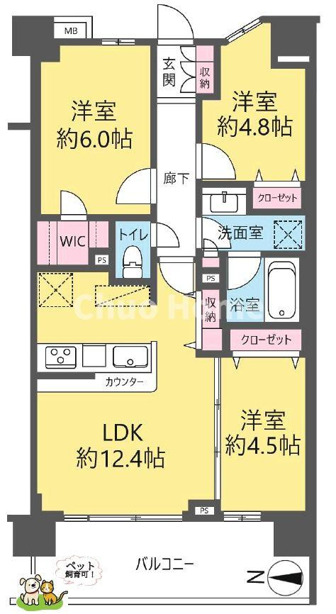 アンビシャス小岩の間取り|6階部分・日当たり・通風・眺望良好。新規リフォームマンション。