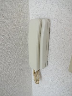 アルフ　ハイムのセキュリティ