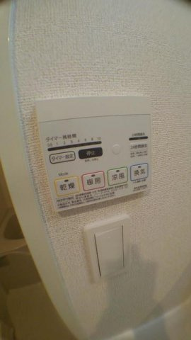 ルミリクスのその他