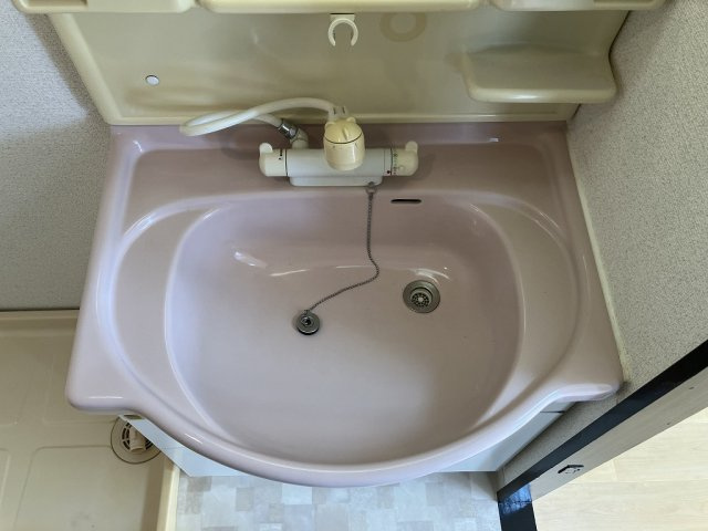 サンライフ桜塚の洗面所