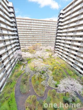 ファミールハイツ北大阪1号棟の庭|◆マンション敷地内には公園があり、春は桜を楽しめます♪
