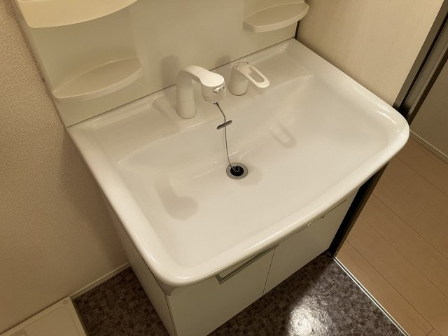 シャルマンコート豊中の洗面所