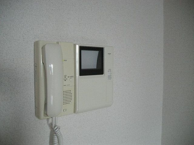 プリムローズのセキュリティ