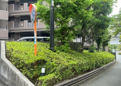 【中庭】 | ドラゴンマンション多摩学園都市伍番館 | 中庭（パティオ）とは、一つの建築物の内部に設けられた、壁などで囲われている庭のことを指します。コの字型、ロの字型が主流ですが、L字型の中庭もあります。最近では、インテリア性の高さからも人気があります。
