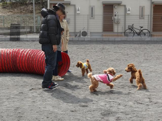ラ・ピュールの周辺