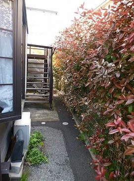 千葉市花見川区幕張町４丁目のアパートの庭