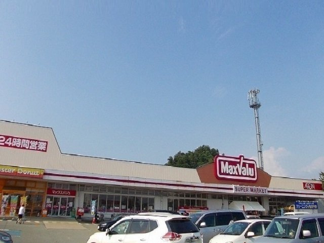 ウイスタプラスの周辺|マックスバリュ　広面店まで300m