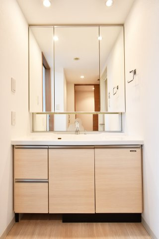 ライオンズ蓮田レスティアコートの独立洗面台