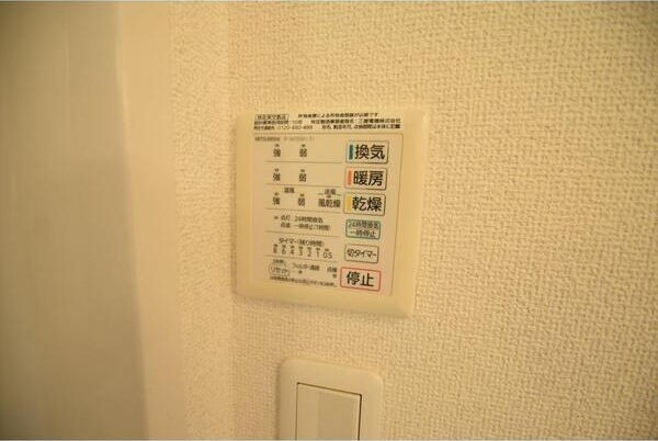 アムール　Bのその他