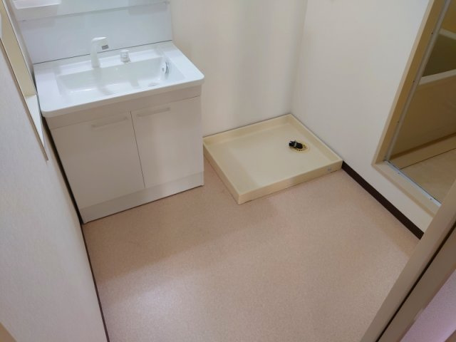 ドミールコートの洗面所