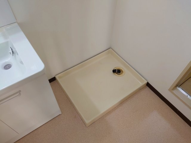 ドミールコートの洗面所