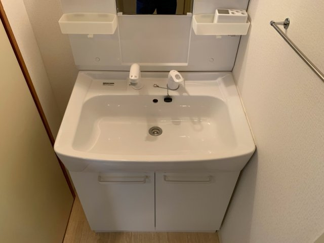 スカイハイツ曽根の洗面所