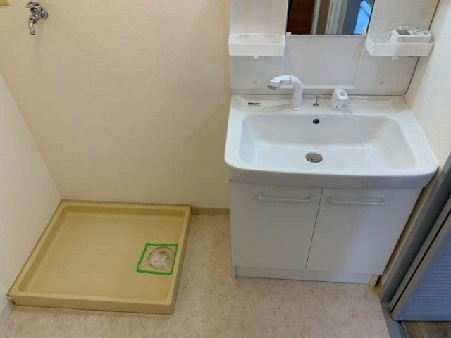 スカイハイツ緑地の洗面所
