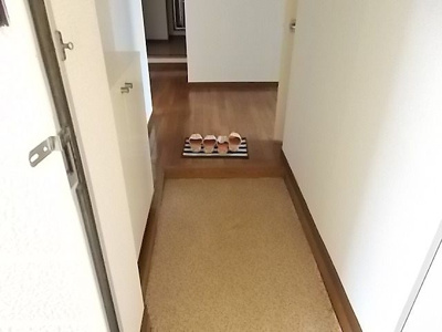 【玄関】 | エアポートマルタⅡ