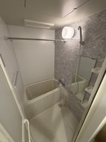 S-RESIDENCE難波Brillerの浴室