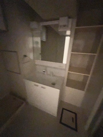 UR武庫川 11号棟の独立洗面台