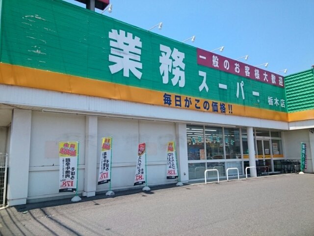グレース辰の木の周辺|業務スーパー栃木店まで550m