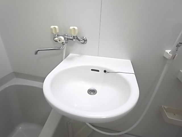 ステラハウス19の洗面所