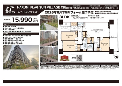 【その他】 | HARUMI FLAG SUN VILLAGE C棟　仲介手数料無料＋80万円現金プレゼント中