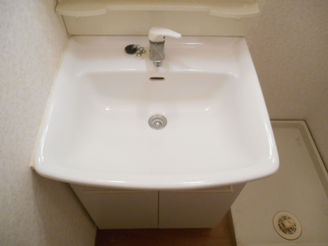 長興寺コーポの洗面所
