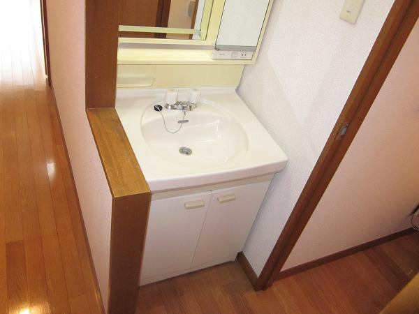 スターヴァレイⅡの洗面所