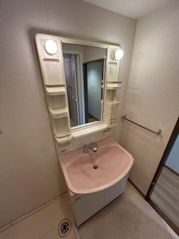 プラザインペリアルの洗面所