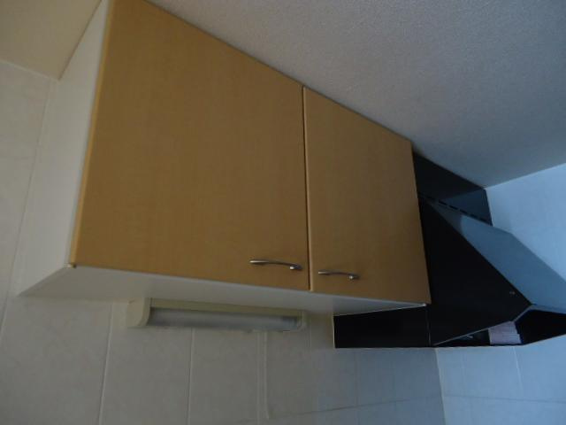 サンフィット　フジマンＢ棟のキッチン|キッチン収納