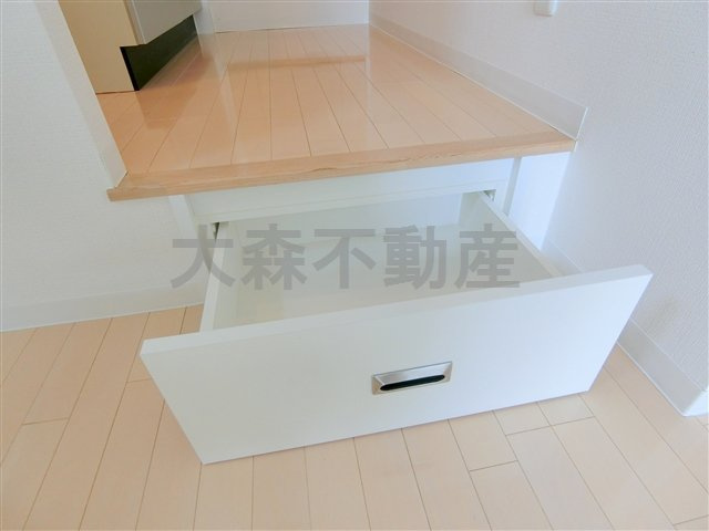 レジディア大森東の収納