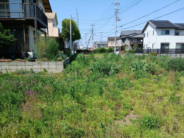 東松山市若松町1丁目　土地62坪の外観