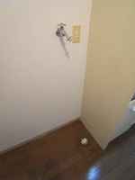 室内洗濯機置場