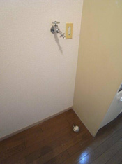 室内洗濯機置場