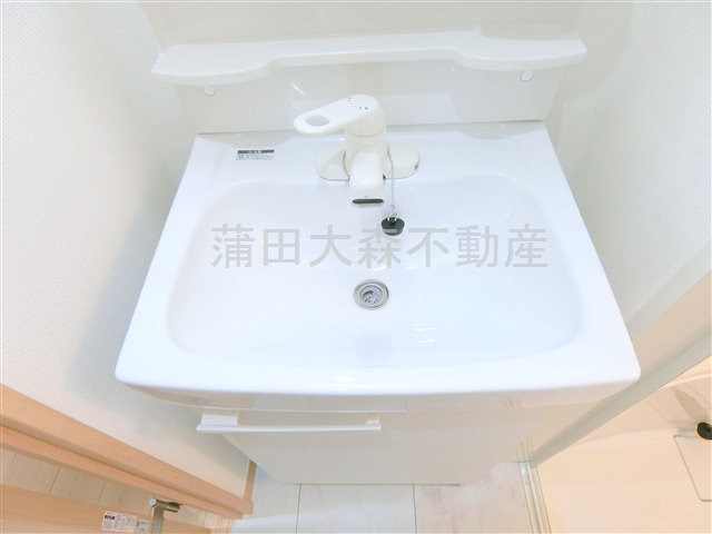 メゾンドオーブの洗面所