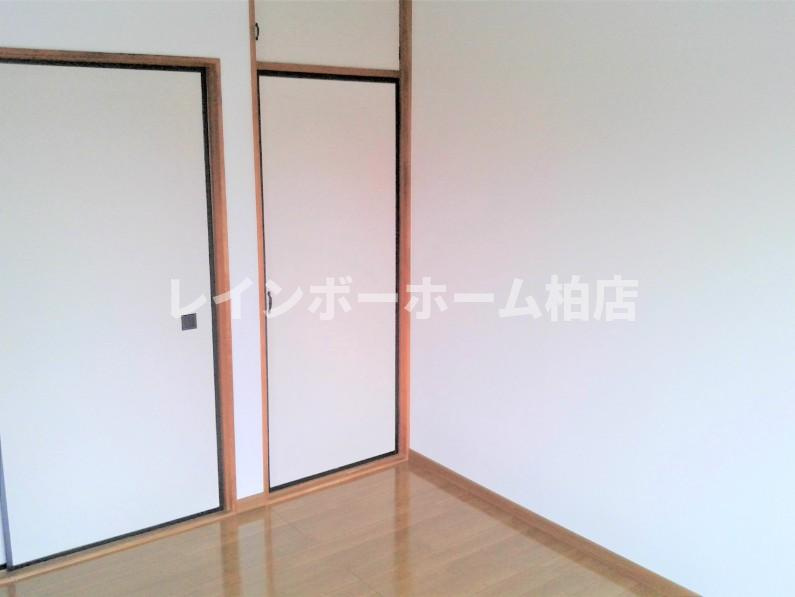 【仲介手数料：50％OFF】対象物件！の収納|ちょっとした収納スペースも充実しています