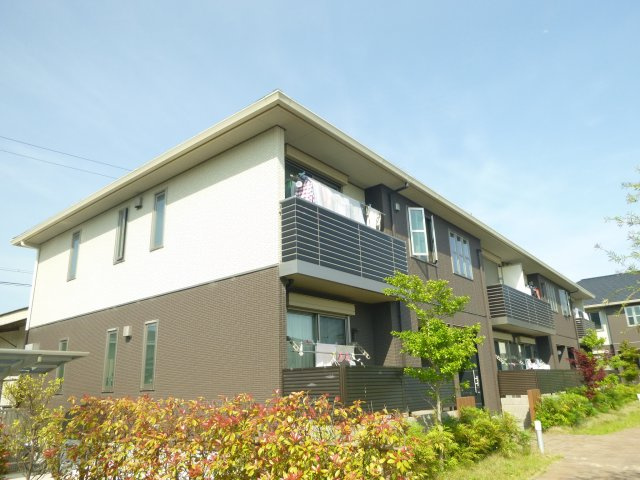 PISOMARIOの展望