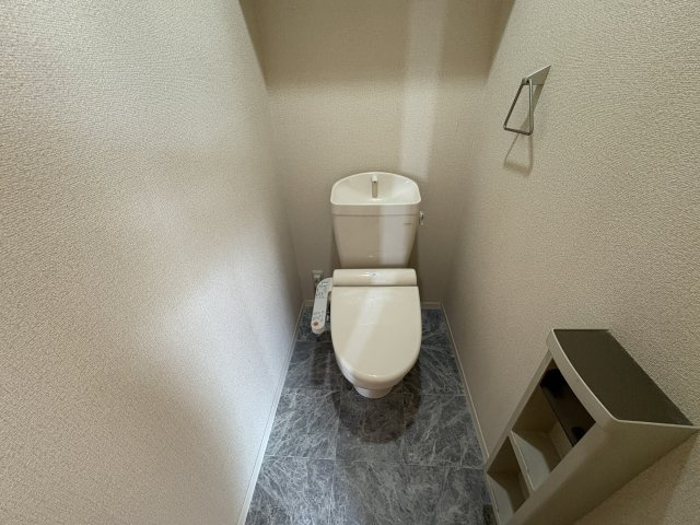 PISOMARIOのトイレ