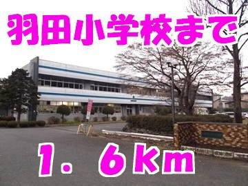 リバーサイドプラスワンの周辺|羽田小学校まで1600m