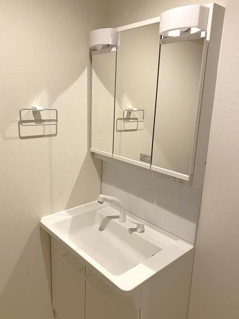 Ｈｏｕｓｅｋｕｌ　ＩＳ２の洗面所