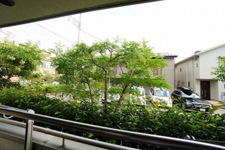 【展望】