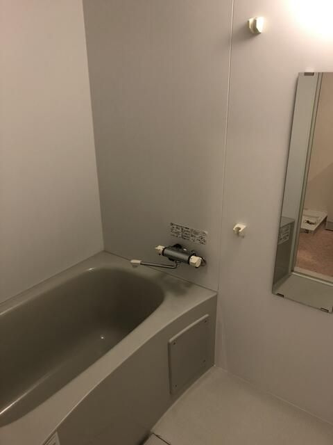 ドルチェ新町の浴室