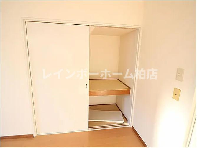 【仲介手数料：50％OFF】対象物件！の収納|ちょっとした収納スペースも充実しています
